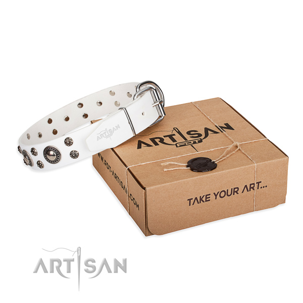 Impressive full grain leather dog collar for daily walking
