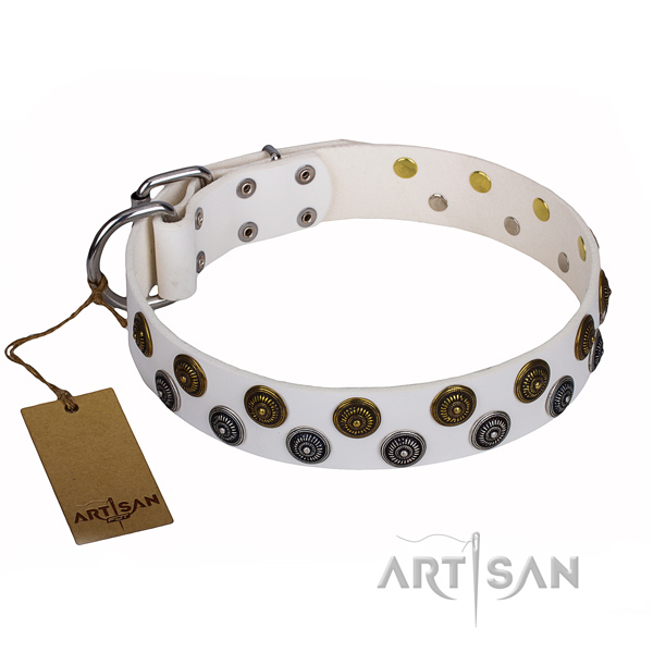 Awesome leather dog collar for everyday walking
