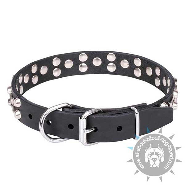 Long Servicing Leather Pitbull Collar