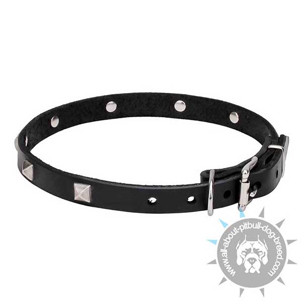 Durable Leather Collar with Rust-resistant Hardware