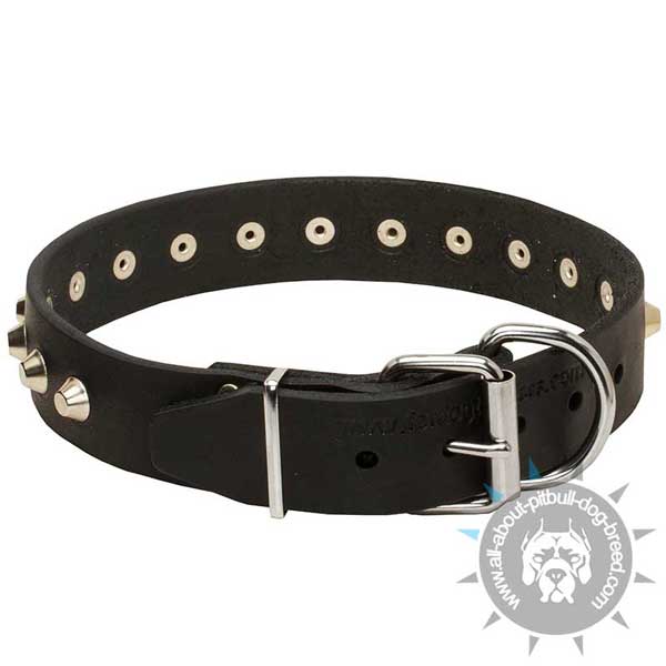 Leather Dog Collar with Nickel Fittings