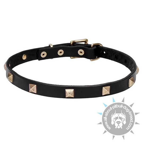 Narrow Leather Dog Collar with Brass Pyramids