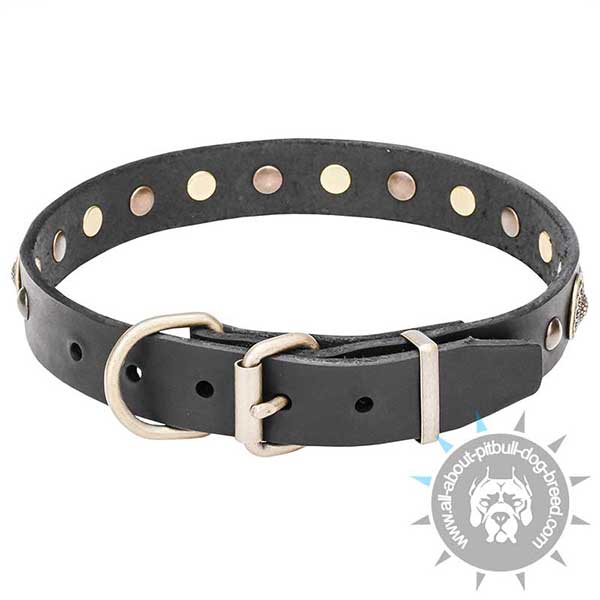 Genuine Leather Pitbull Collar with Brass Buckle and D-ring