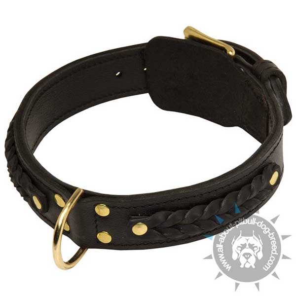 Gorgeous wide leather Pitbull collar