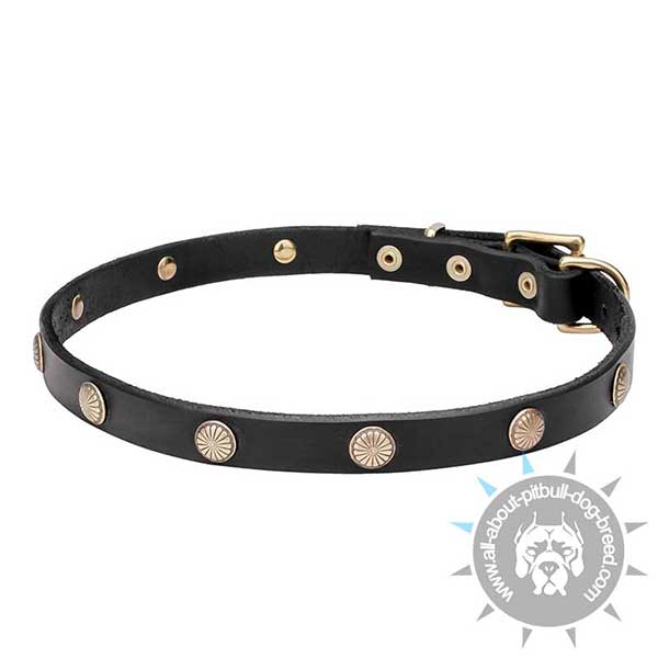 Pitbull Leather Collar for Daily Walking