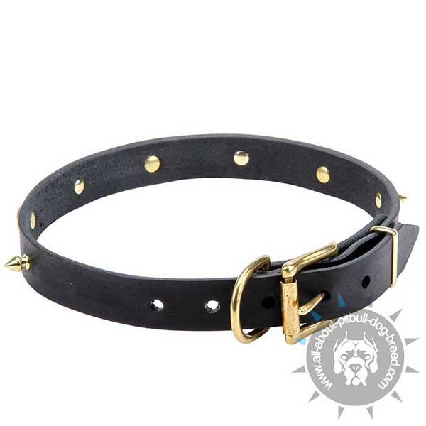 Soft Decorated Leather Collar with Buckle