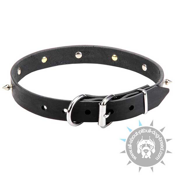 Durable Leather Dog Collar Decorated