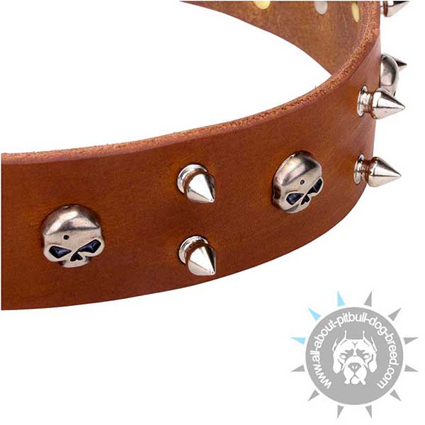 Unique Leather Collar with Nickel Plated Decor