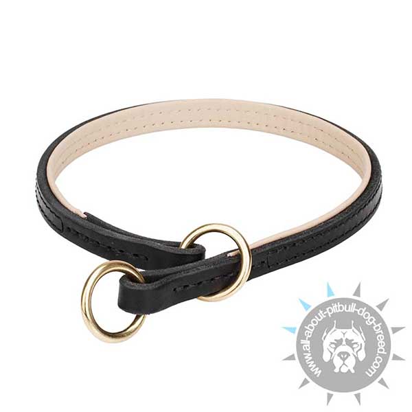 Leather Pitbull Choke Collar for Quality Control