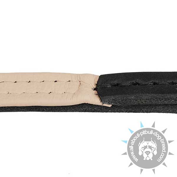 thoroughly Stitched Leather Pitbull Choke Collar