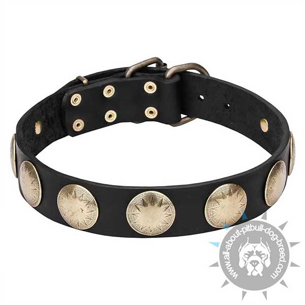 Luxury Leather Dog Collar Decorated with Engraved Studs
