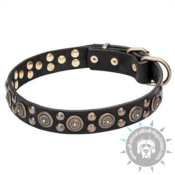 Adjustable Leather Collar with Brass Studs