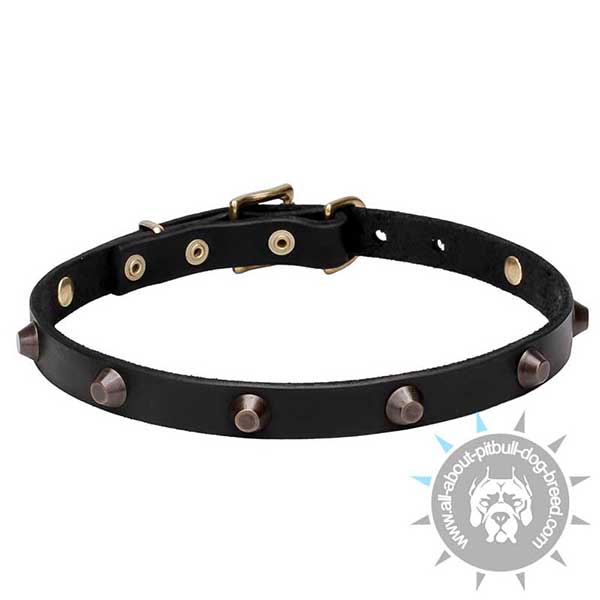 Awesome Design Leather Collar with Brass Plated Decoration