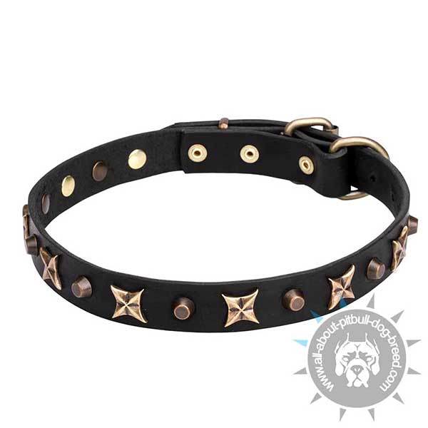 Genuine Leather Collar with Unique decorations