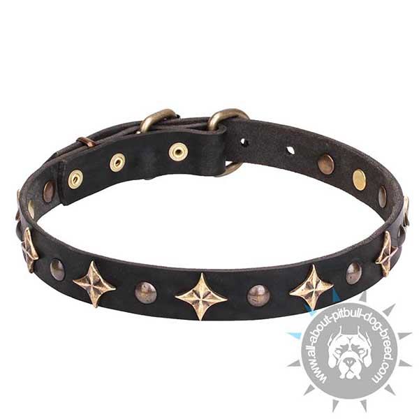 Top Quality Leather Pitbull Collar