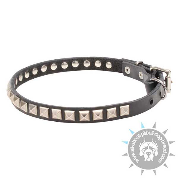 Elegant Studded Leather Dog Collar