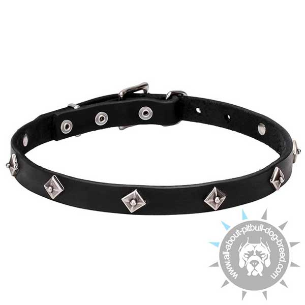Narrow Leather Collar with Chrome Plated Studs