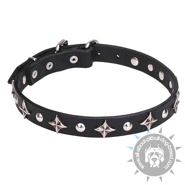 Designer Leather Pitbull Collar