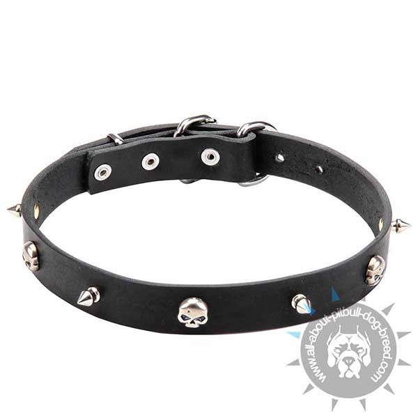 Spiked and Studded Leather Collar