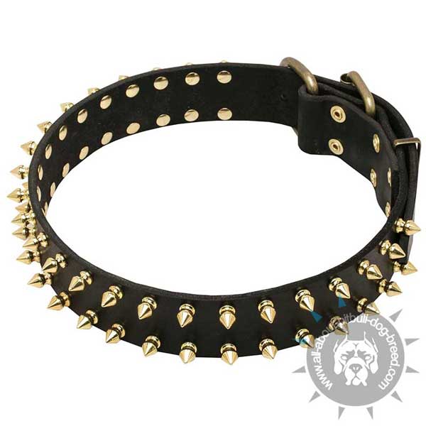 Leather Dog Collar with Brass Decorations