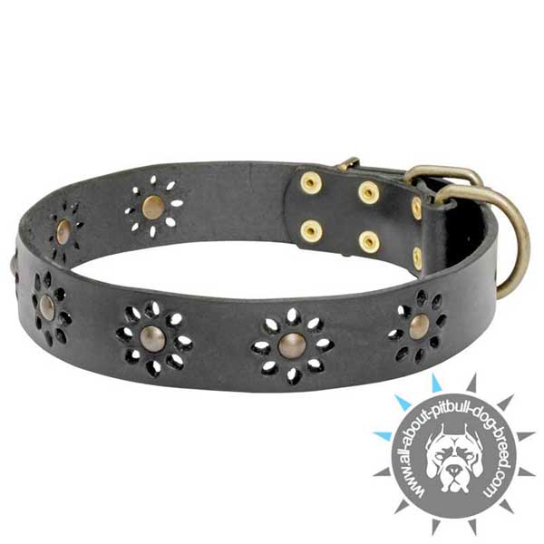 Adorned Collar Made of Genuine Black Leather