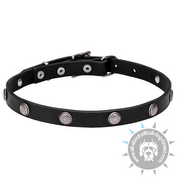 Narrow Leather Dog Collar with Chrome Plated Stamped Studs