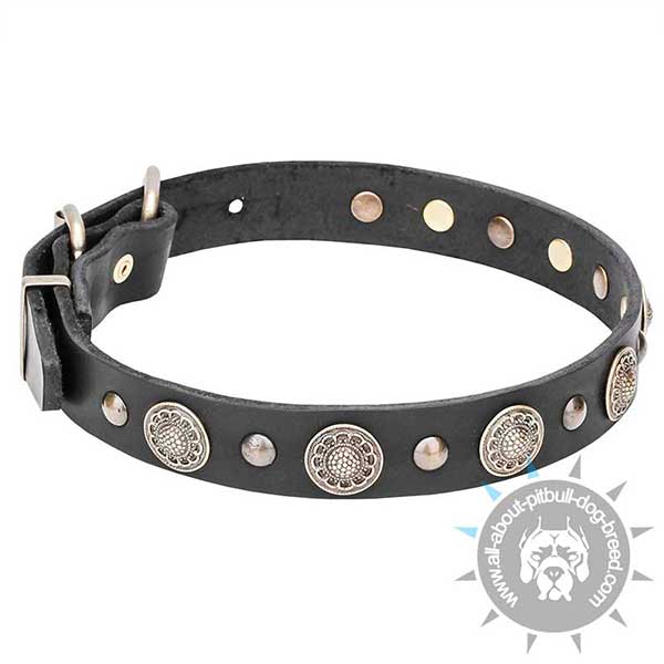 Decorative Leather Collar with Fancy Studs and Circles