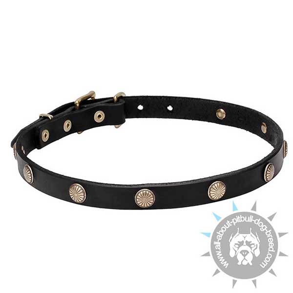 High- end Leather Collar with Stamped Studs