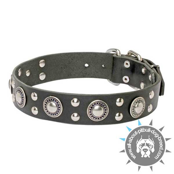 Durable Leather Collar with Silver-like Decor