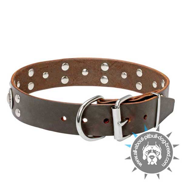 Adjustable Leather Pitbull Collar