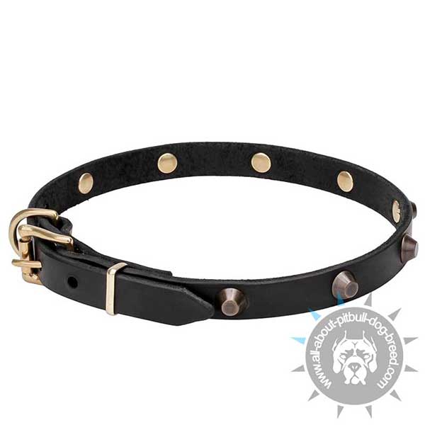 Pitbull Walking Leather Collar