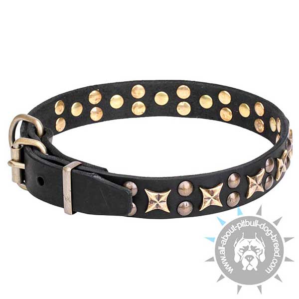 Handmade Leather Collar for Pitbull