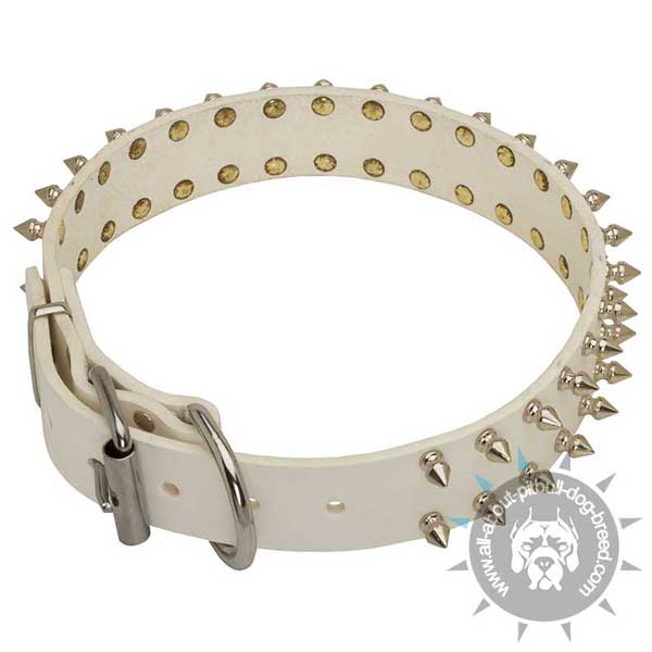 Spiked Leather Pitbull Collar