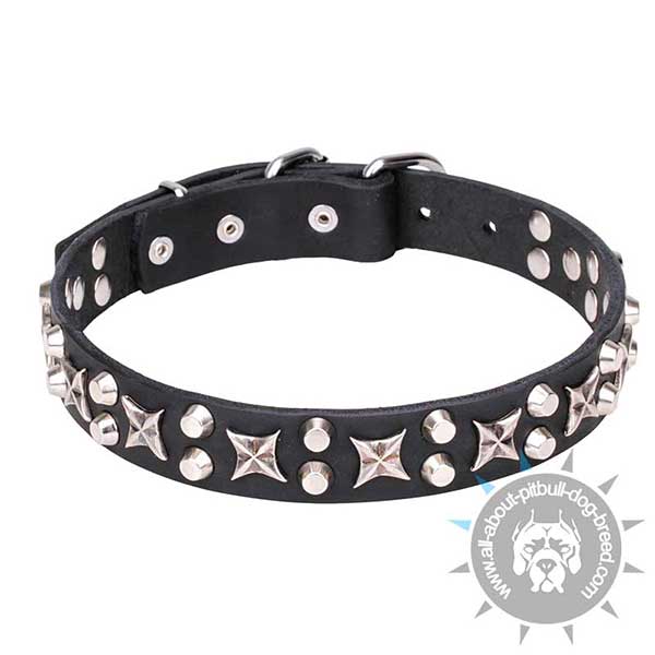 Exclusive Leather Dog Collar with Shiny Decor