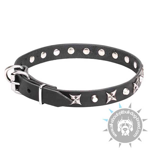 Leather Collar with Nickel-plated Decor