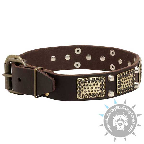 Studded Leather Collar  with Solid Plates