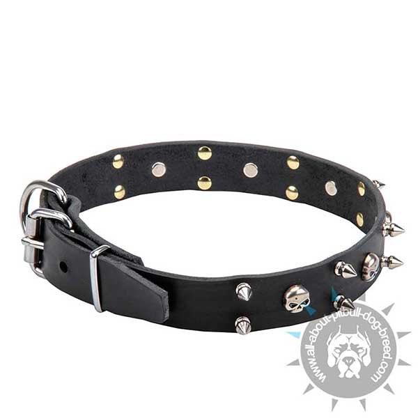 Pirate Leather Collar with Decoration