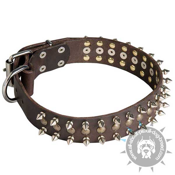 Pitbull Leather Collar with Spikes and Studs