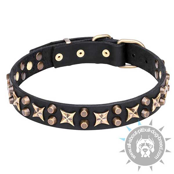 Exclusively Decorated Leather Pitbull Collar