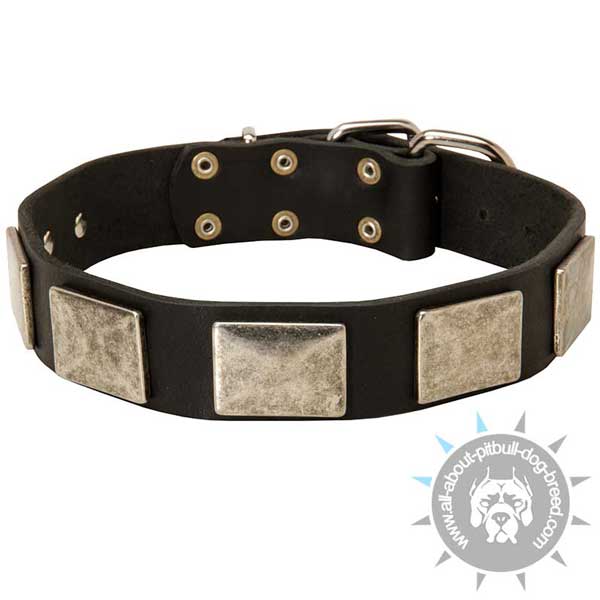 Designer Leather Collar with Vintage Decor