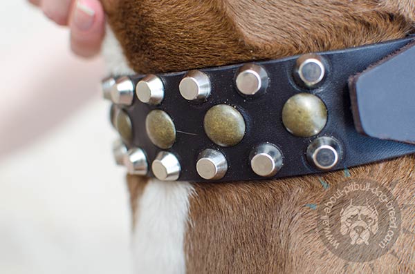 Adjustable leather Pitbull collar