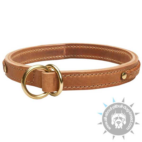 Choke leather dog collar adorned with braids 