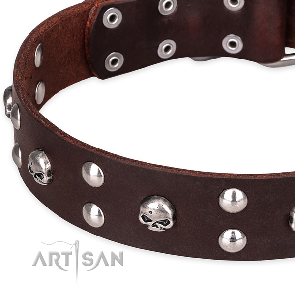 Casual leather dog collar with elegant embellishments