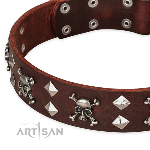 Top quality leather dog collar for easy walking