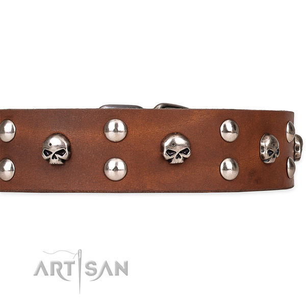 Full grain genuine leather dog collar with smoothed leather surface