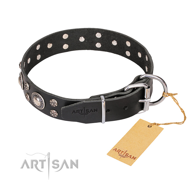 Full grain leather dog collar with smoothed finish