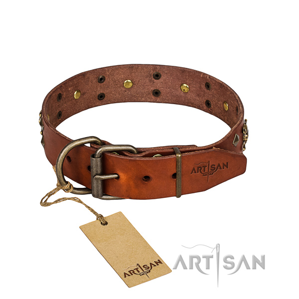 Reliable leather dog collar with brass plated fittings