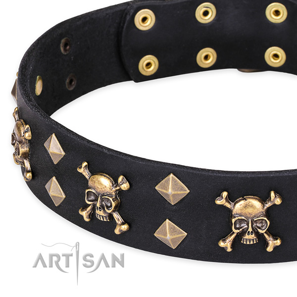 Daily leather dog collar with unique design embellishments