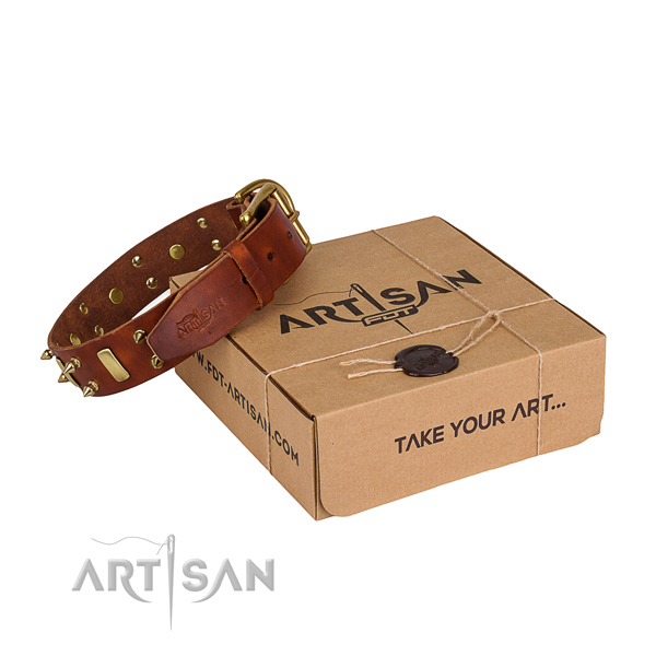 Everyday leather dog collar with sensational decorations