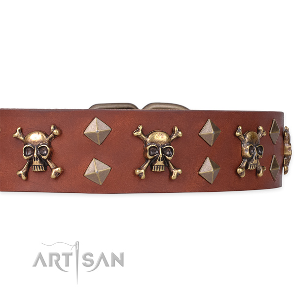 Everyday leather dog collar for walking